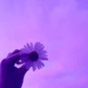 Meet your Posher, Robyn